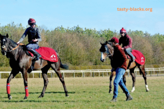 Behind the Scenes of a Horse Race: Training, Strategy, and Jockeys